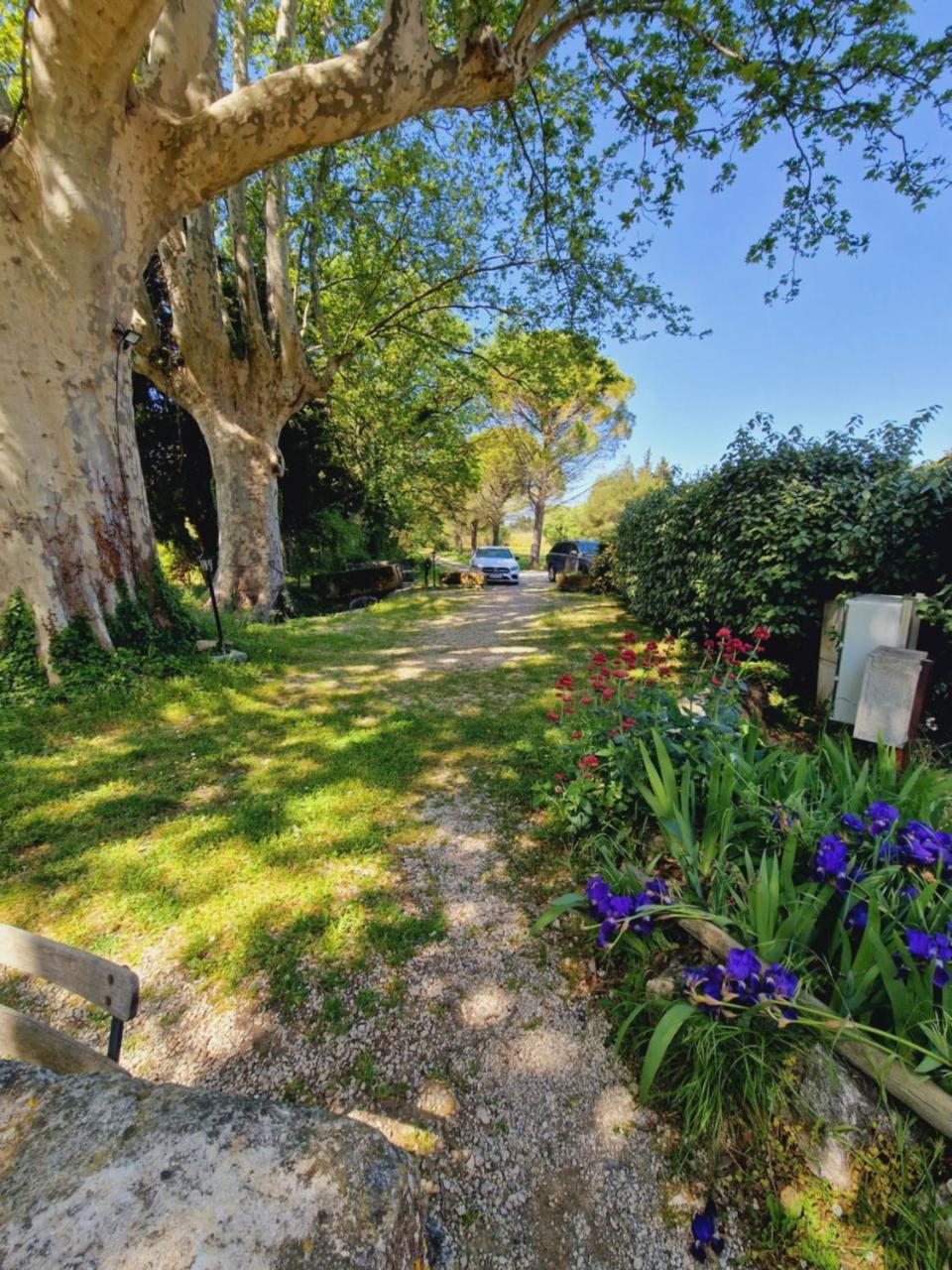 Ancien Mas Du Moulin Bed & Breakfast Eygalières Exterior foto